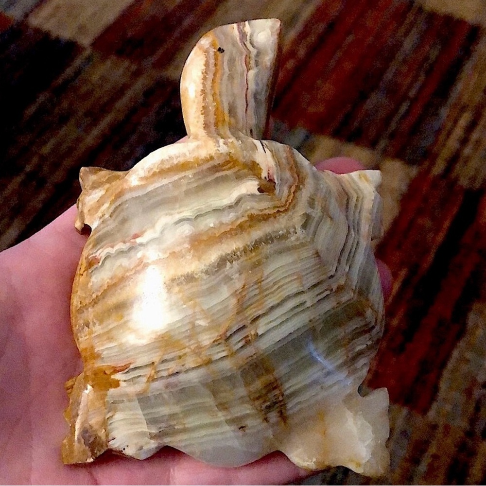 XL Banded Onyx Turtle